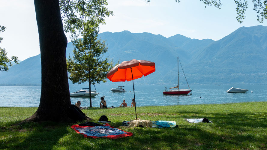 Shore of lake Geneva