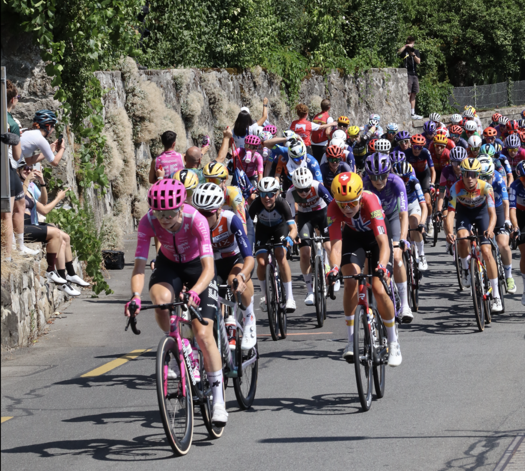 AISTS Alumni working in Cycling
