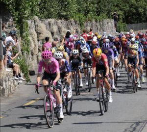 AISTS Alumni working in Cycling